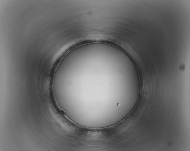 X0000112400440200908281754