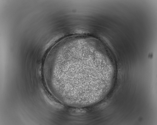X0000112400443200908281754