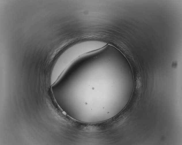 X0000112400444200908281754