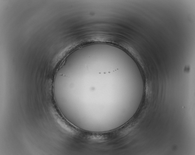 X0000112400445200908281754