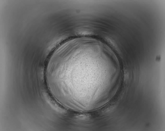 X0000112400447200908281754
