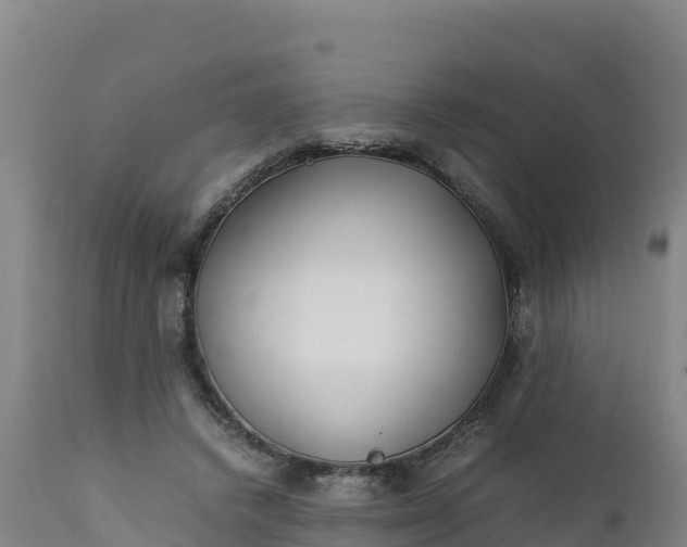 X0000112400448200908281754