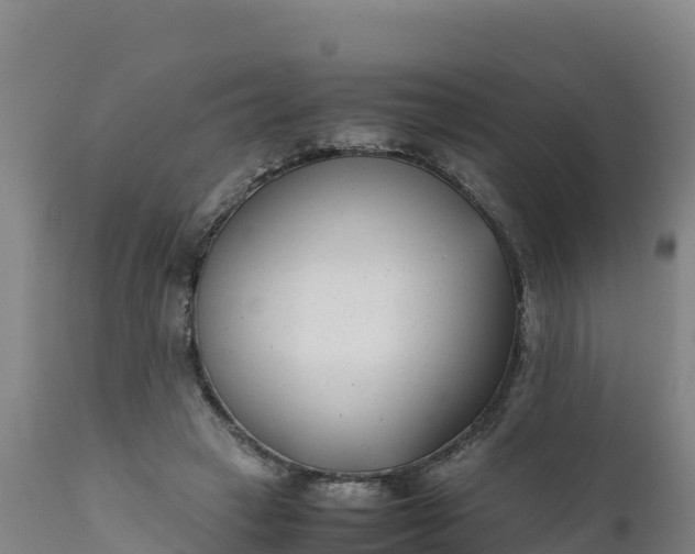 X0000112400449200908281754