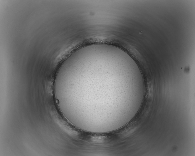 X0000112400450200908281754