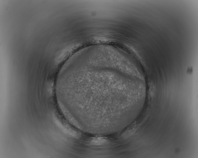 X0000112400451200908281754