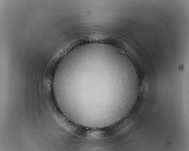 X0000112400452200908281754