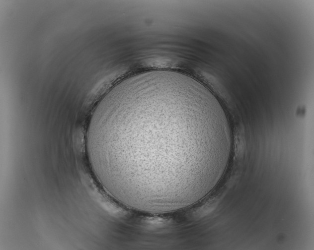 X0000112400453200908281755