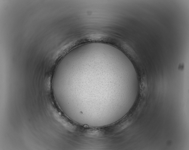 X0000112400454200908281755