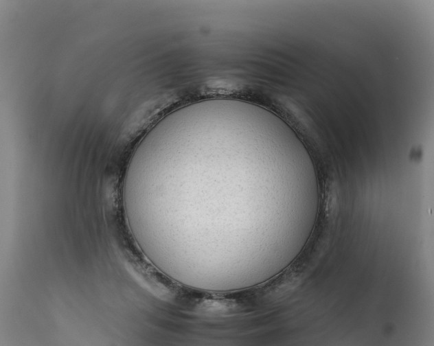 X0000112400455200908281755