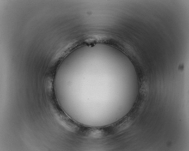 X0000112400456200908281755