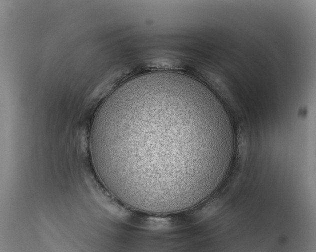 X0000112400457200908281755