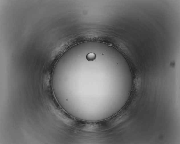 X0000112400458200908281755