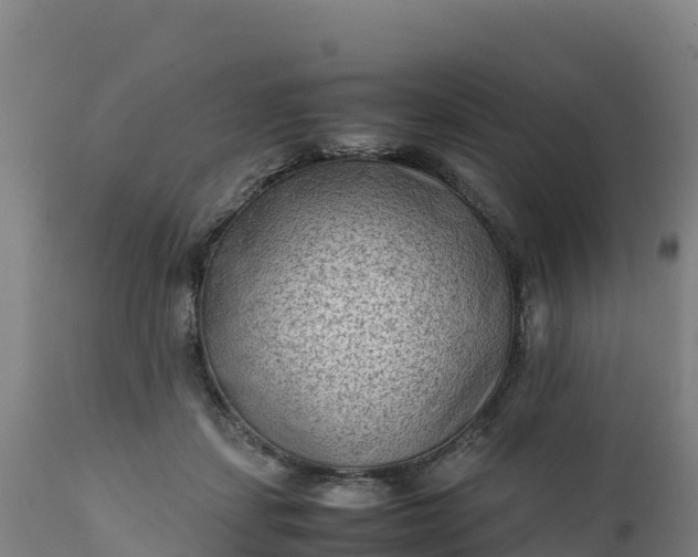 X0000112400459200908281755