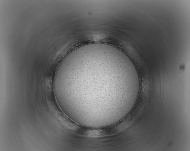 X0000112400461200908281755
