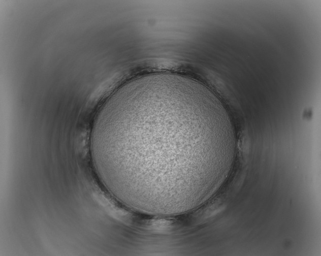 X0000112400462200908281755