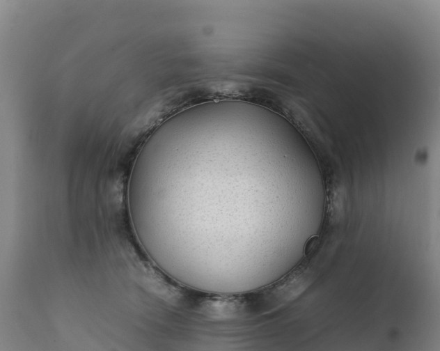 X0000112400466200908281755