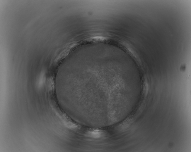 X0000112400467200908281755