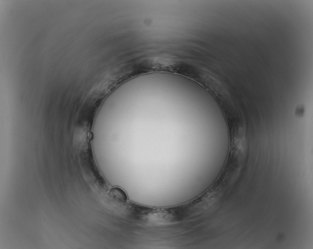 X0000112400468200908281755