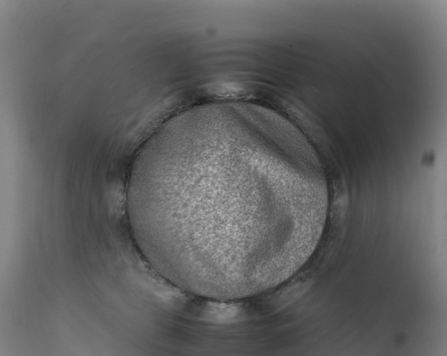 X0000112400469200908281755