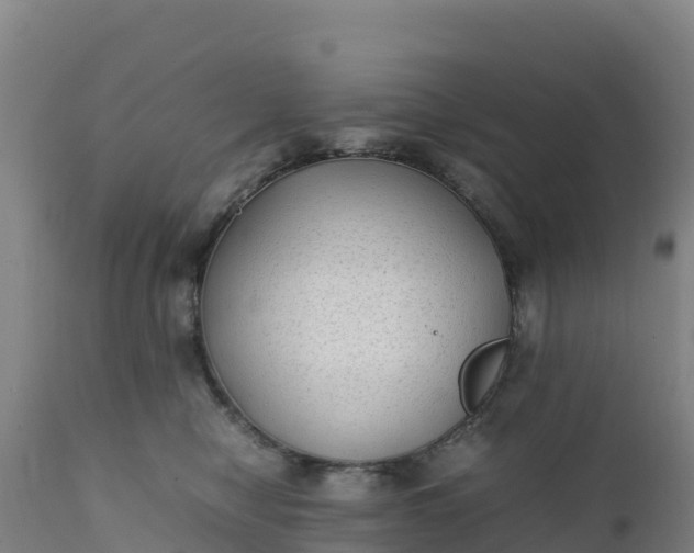 X0000112400470200908281755