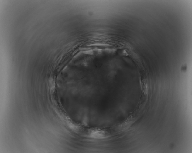 X0000112400471200908281755