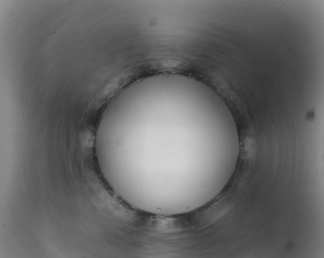 X0000112400472200908281755