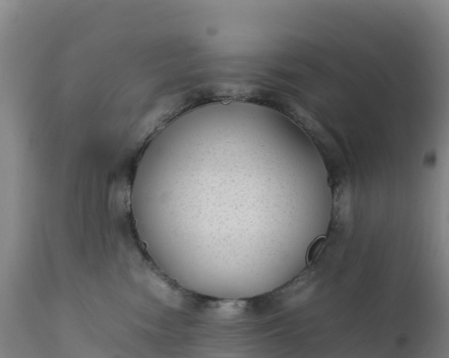 X0000112400474200908281755