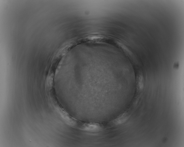 X0000112400475200908281755