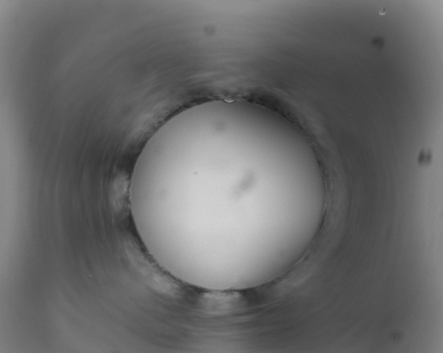 X0000112400480200908281755