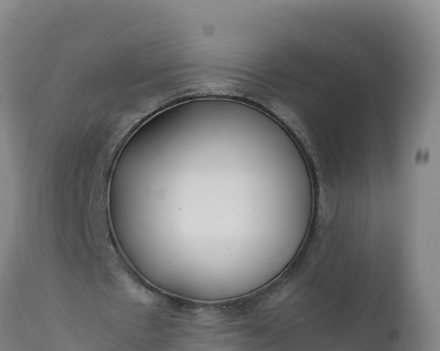 X0000112400481200908281754