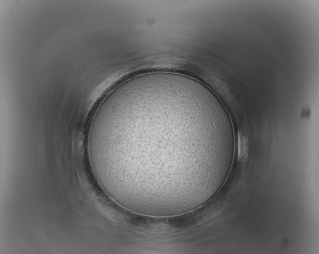 X0000112400483200908281754