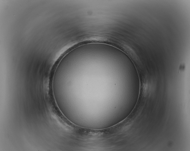 X0000112400484200908281754
