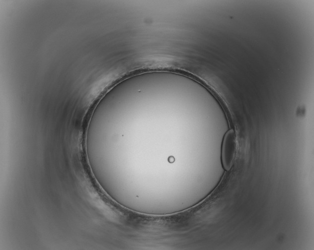 X0000112400485200908281754