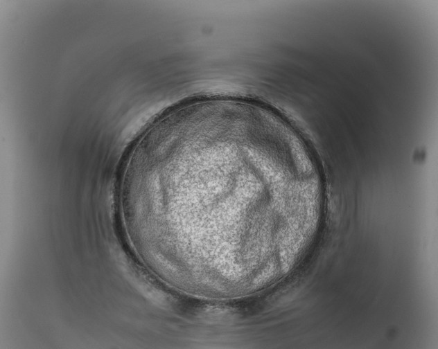 X0000112400487200908281754