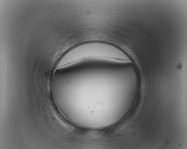 X0000112400489200908281754