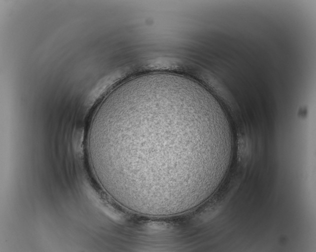 X0000112400490200908281754