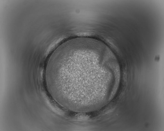 X0000112400491200908281754