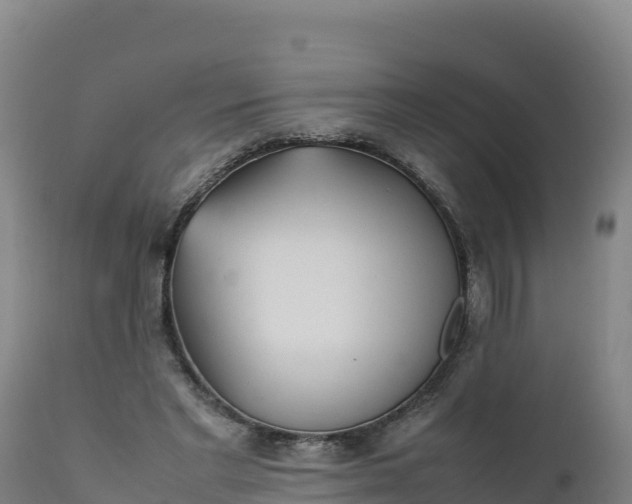 X0000112400493200908281754