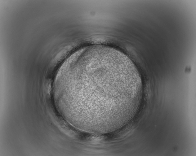 X0000112400495200908281754