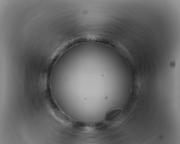 X0000112400496200908281754
