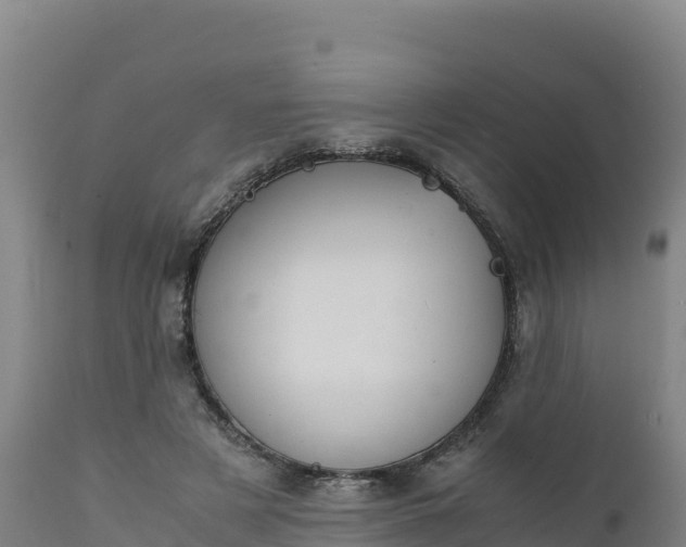 X0000112400497200908281754