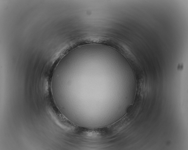 X0000112400500200908281754