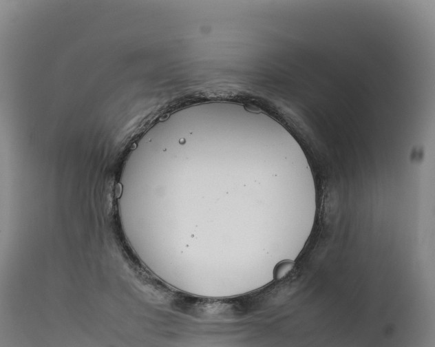 X0000112400501200908281754
