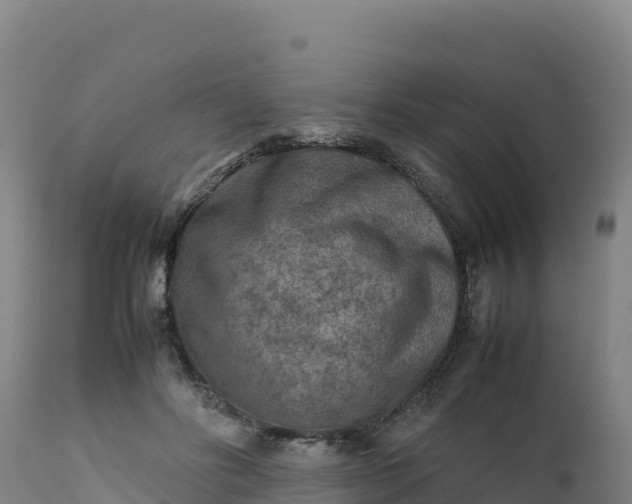 X0000112400502200908281754