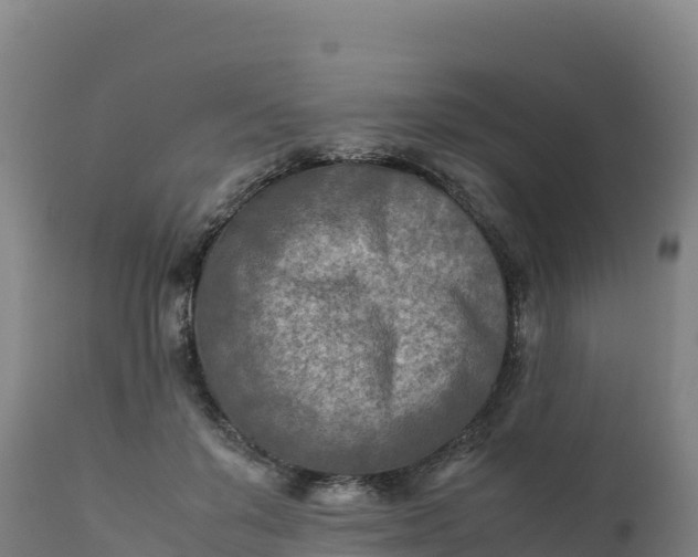 X0000112400503200908281754