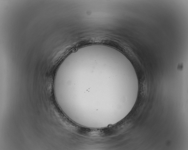 X0000112400505200908281754