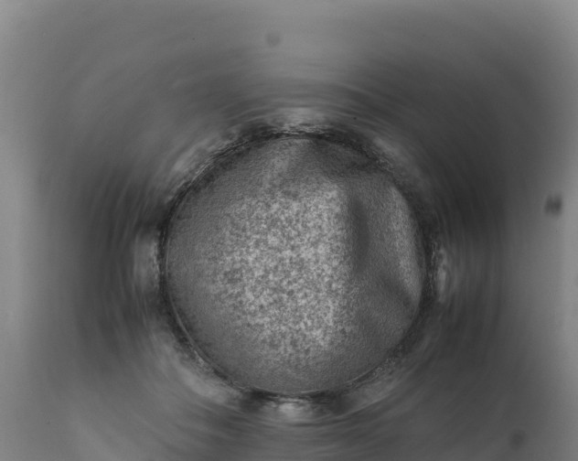 X0000112400506200908281754