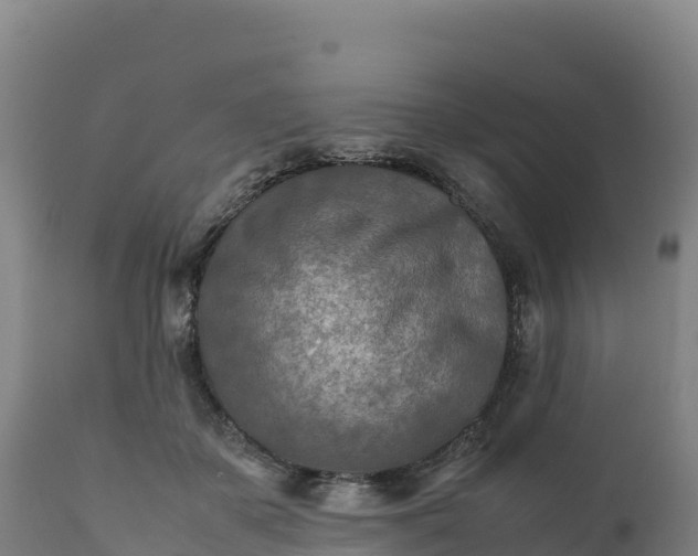 X0000112400507200908281754