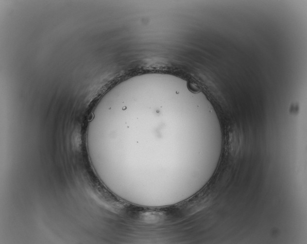 X0000112400508200908281754