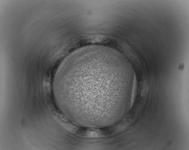 X0000112400510200908281754